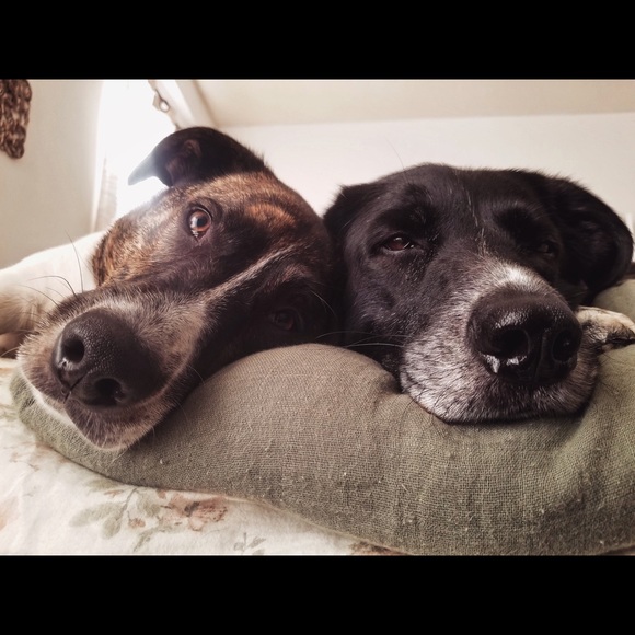 Meet your Posher, Jacquelyn - Picture 1 of 1